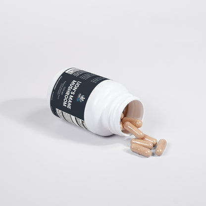 Lion's Mane Mushroom